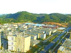 中山：加快建設東升脆肉鯇、橫欄花木省級現代農業產業園