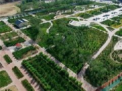 膠州、萊西獲選山東省省級現(xiàn)代農業(yè)產業(yè)園建設主體