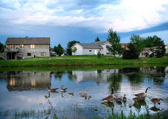 努力讓鄉(xiāng)村跟上國家現代化步伐