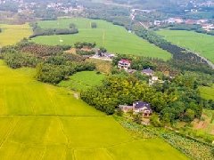 河南：借力十四五規(guī)劃，打造我省現(xiàn)代服務(wù)業(yè)發(fā)展高地