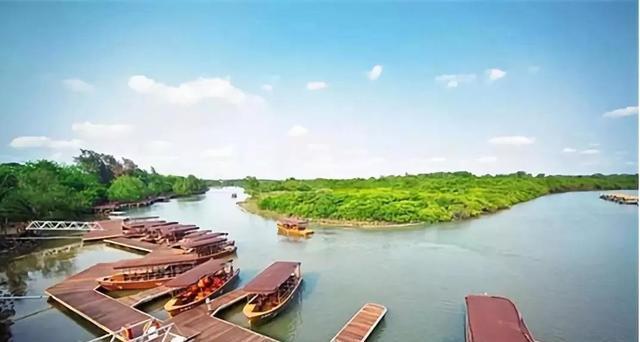 內江市穩(wěn)住農業(yè)基本盤 加快推進現(xiàn)代農業(yè)園區(qū)建設