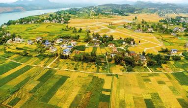 調(diào)整產(chǎn)業(yè)布局促進(jìn)縣域經(jīng)濟發(fā)展