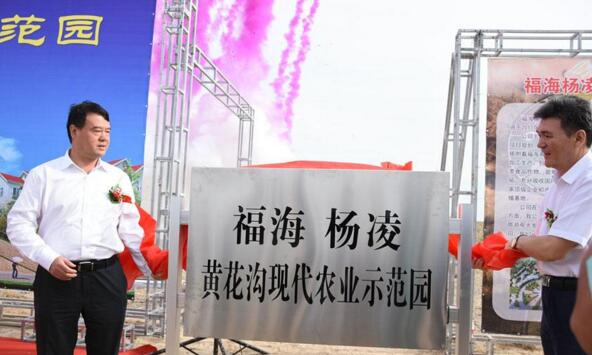 新疆福?？h攜手楊凌高新區(qū)打造中國高緯度農業(yè)示范基地