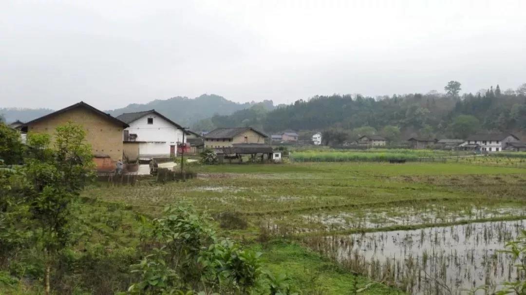 農(nóng)村土地確權(quán)結(jié)束，沒登記的四荒地如何處理？