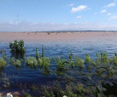 發(fā)展都市農業(yè) 打造鄉(xiāng)村振興的坊子樣板