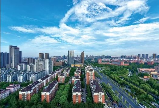 嘉興經開區大力推進“綠城花?！苯ㄔO