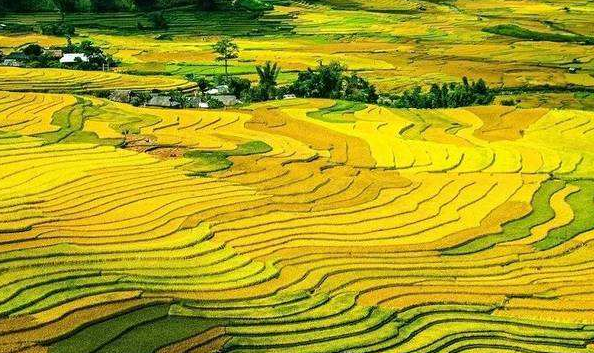 促進鄉(xiāng)村振興與縣域經(jīng)濟高質量發(fā)展有效融合