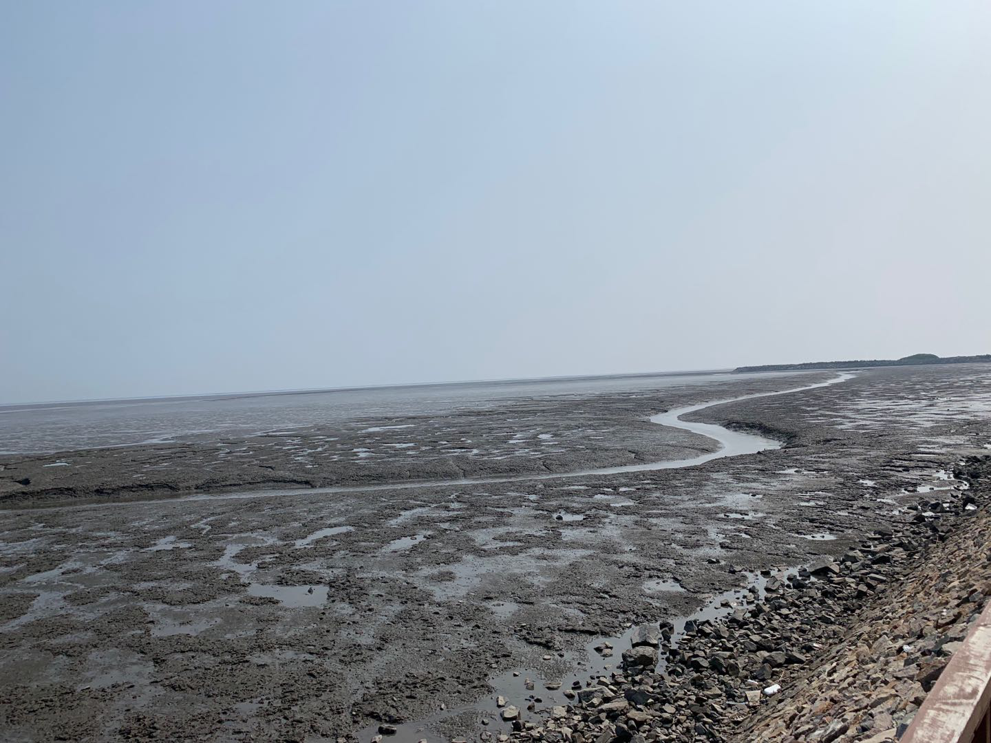 依托貝類優(yōu)勢，遼寧省東港市積極創(chuàng)建省級(jí)現(xiàn)代農(nóng)業(yè)產(chǎn)業(yè)園