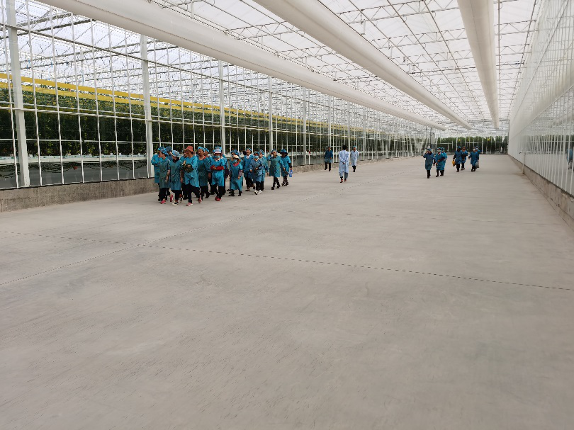 依托非耕地高效設(shè)施農(nóng)業(yè)，民樂(lè)縣著力打造特色戈壁農(nóng)業(yè)國(guó)家現(xiàn)代農(nóng)業(yè)產(chǎn)業(yè)園