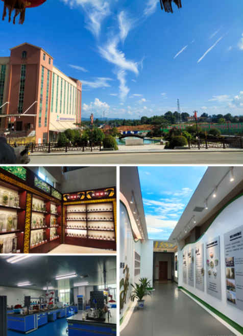 創(chuàng)建省級(jí)高新區(qū)，鶴城工業(yè)集中區(qū)邁入高質(zhì)量發(fā)展快車道