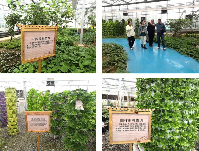 晉之源果蔬再啟航，曲沃開(kāi)啟國(guó)家農(nóng)業(yè)現(xiàn)代化示范區(qū)新征程