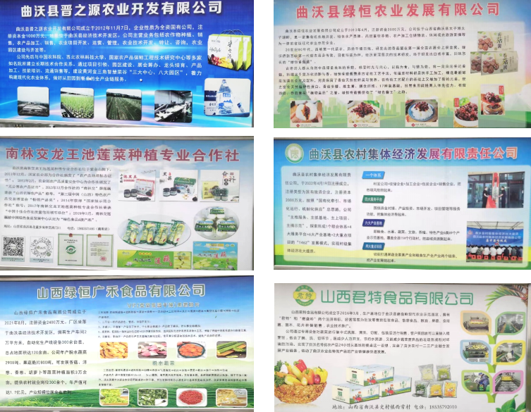 晉之源果蔬再啟航，曲沃開(kāi)啟國(guó)家農(nóng)業(yè)現(xiàn)代化示范區(qū)新征程