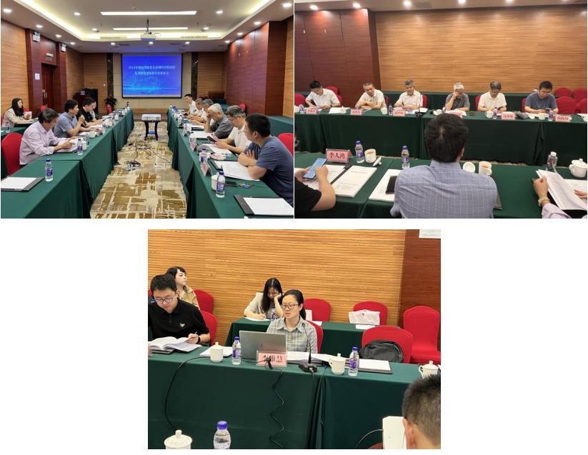 《培育發展湘潭市、婁底市、衡陽市先進鋼鐵材料集群實施方案》獲專家高度評價