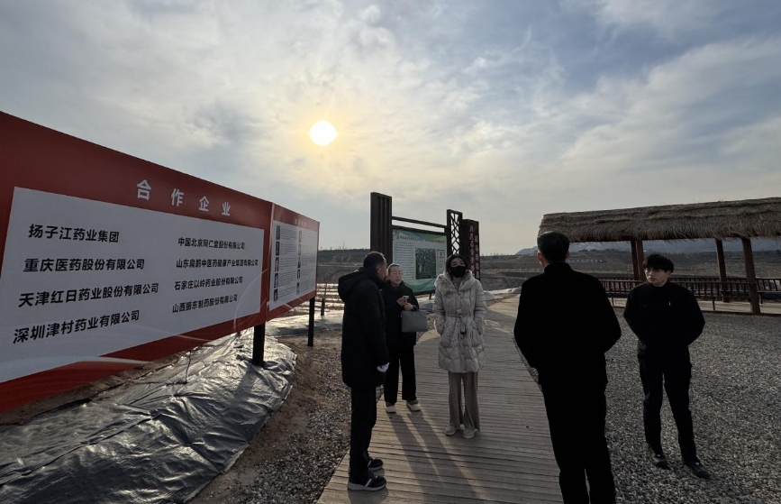 大盈之地，寶藏內丘—我院專家組走進太行山 酸棗之鄉(xiāng)調研