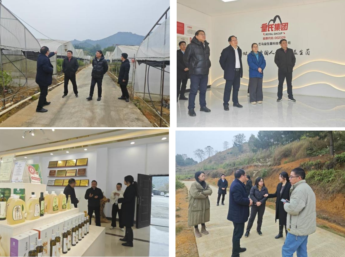 長(zhǎng)壽之鄉(xiāng)，逐路之行——高新院專家組一行赴廣西巴馬瑤族自治縣開(kāi)展河池農(nóng)高區(qū)創(chuàng)建調(diào)研